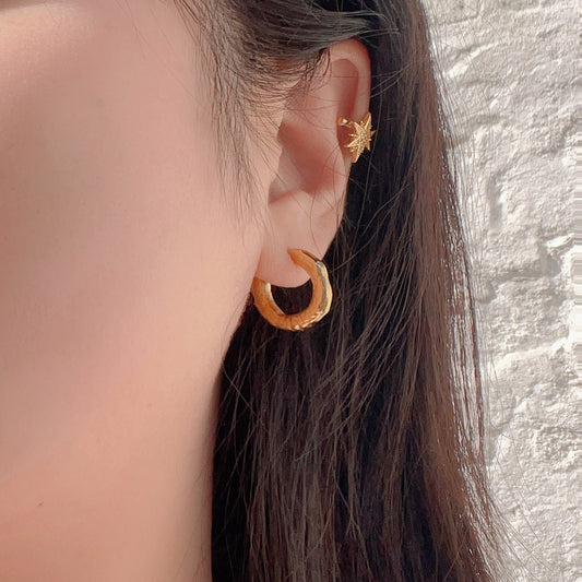 Sculpted Texture Hoop Earrings