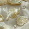 Silver Seashell Pearl Earrings