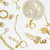 Moonlit Conch Earrings