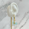 Welsh Corgi Hoop Earrings -  Blue