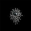 Nacre Noire starburst brooch black background