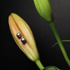 Noir Tide Pearl Studs Earrings by NINEMOO – product view 6