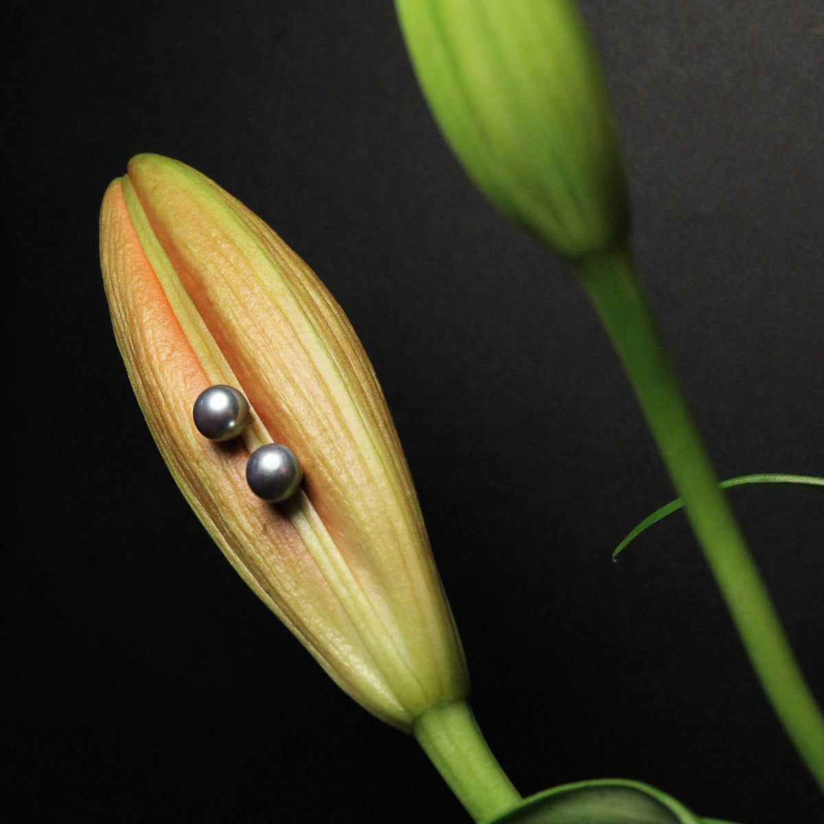 Noir Tide Pearl Studs Earrings by NINEMOO – product view 6
