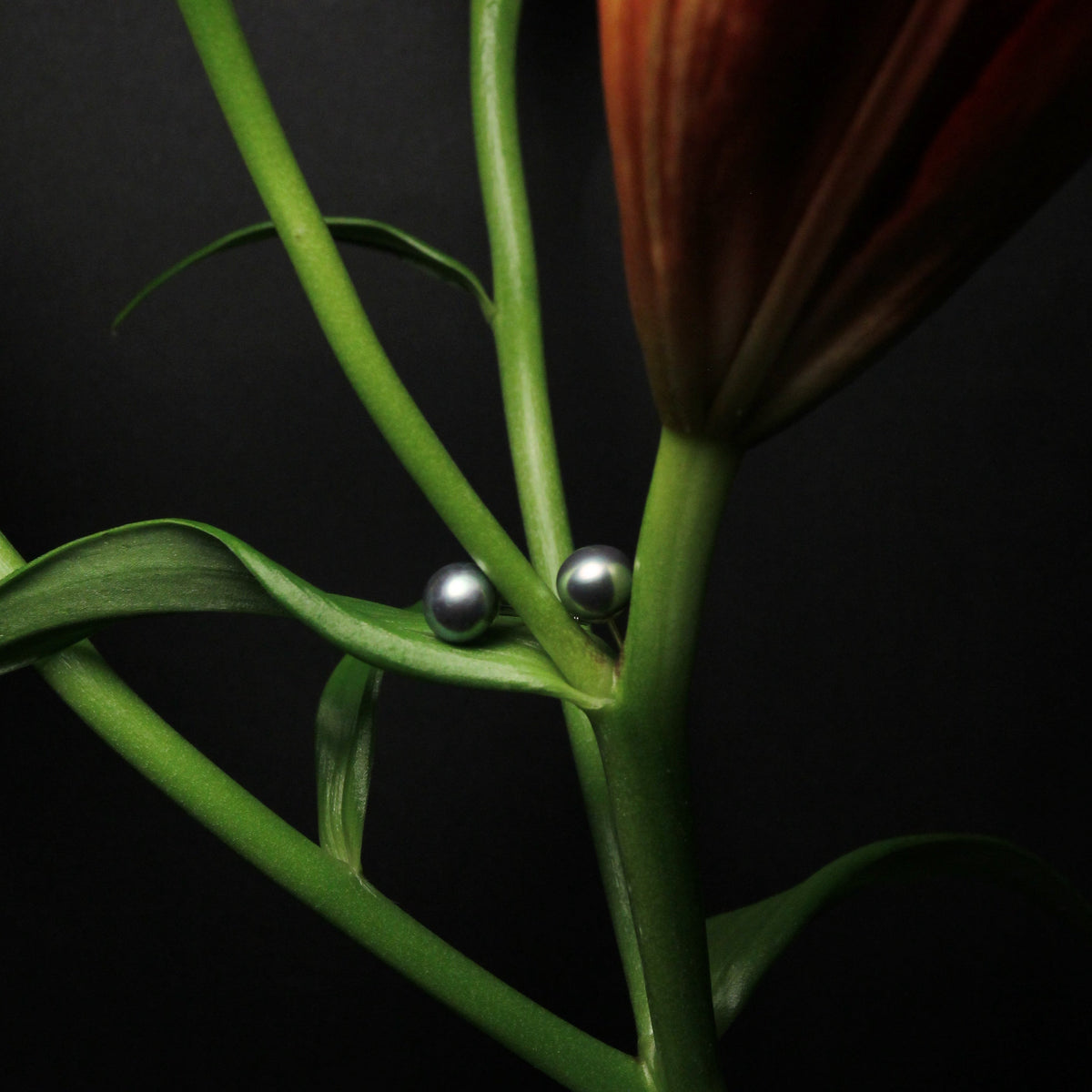 Noir Tide Pearl Studs Earrings by NINEMOO – product view 7