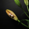 Pure Orb Pearl Studs Earrings by NINEMOO – alternate view